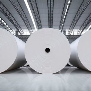 paper cup raw materials
